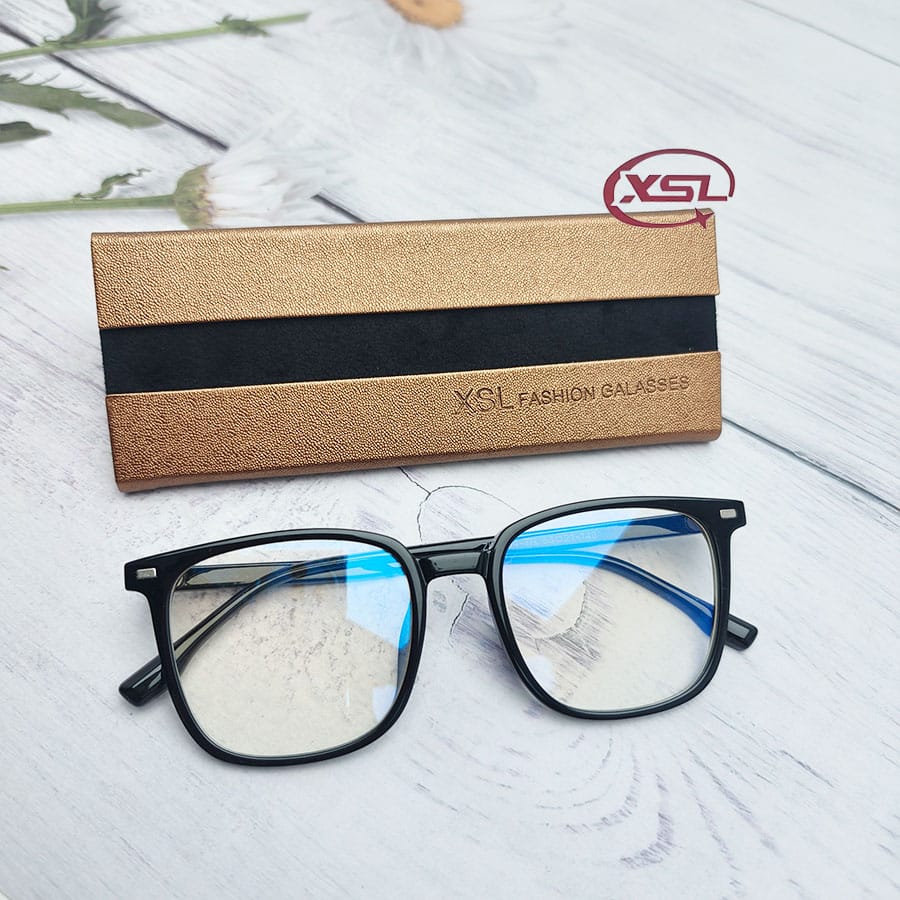 Glasses case