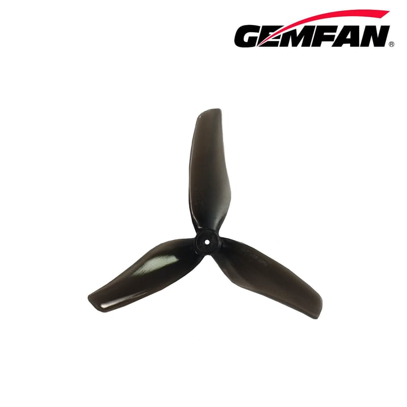 Gemfan hurricane 2009