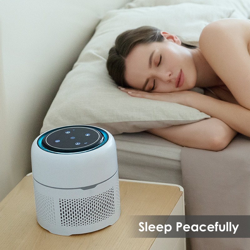 portable air purifier