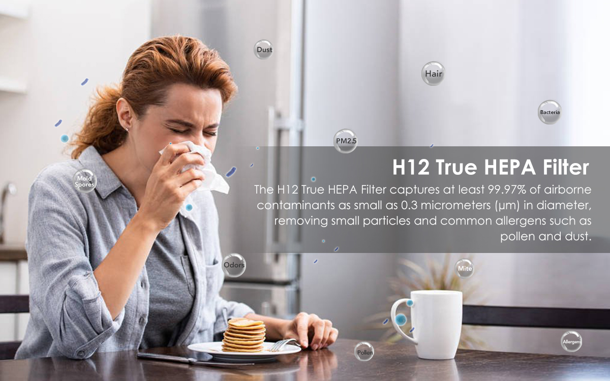 True HEPA Air Purifier for Room Up to 216ft², Ozone Free Air Cleaner for Pets, Allergies, Smokers, Mold, Odor Eliminator for Bedroom Office, Sleep Mode & Timer