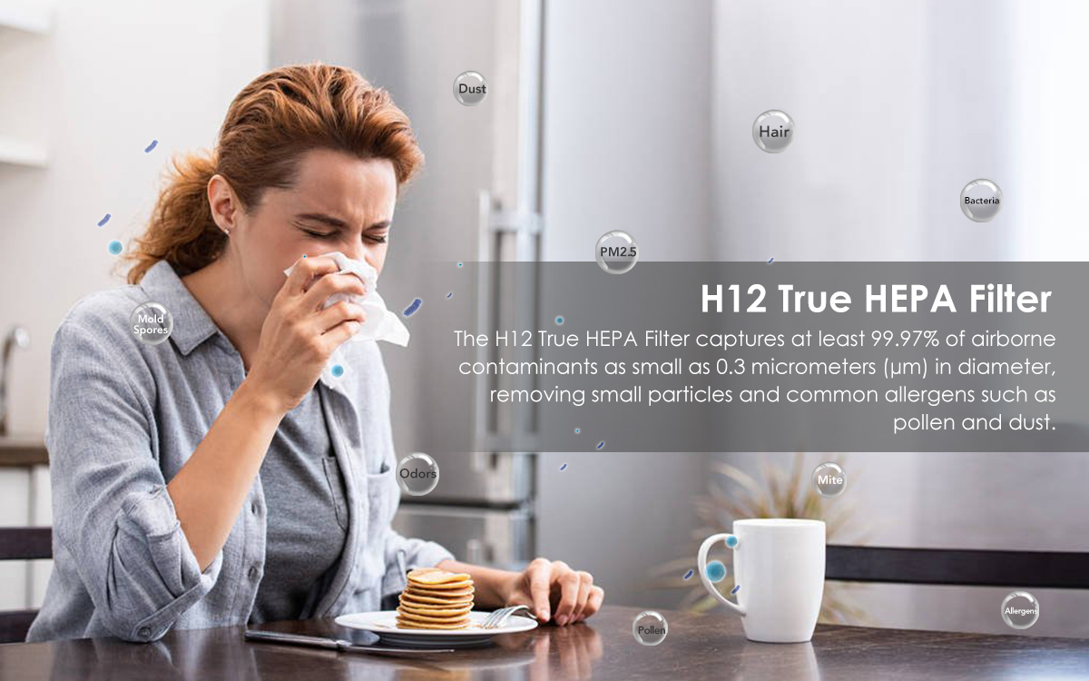 Room Mini Air Purifier