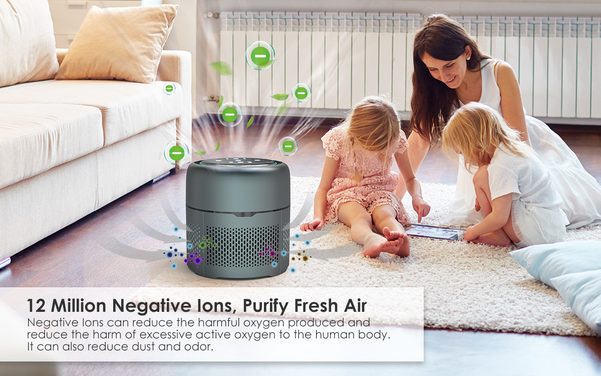Portable Air Purifier