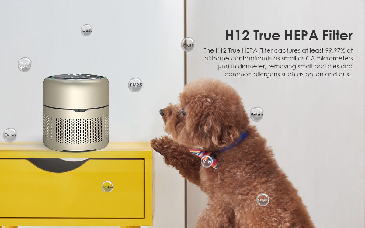 UV Air Purifier