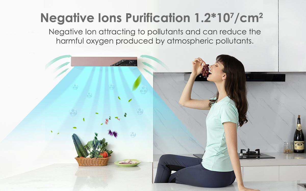 Air Disinfection Purifier