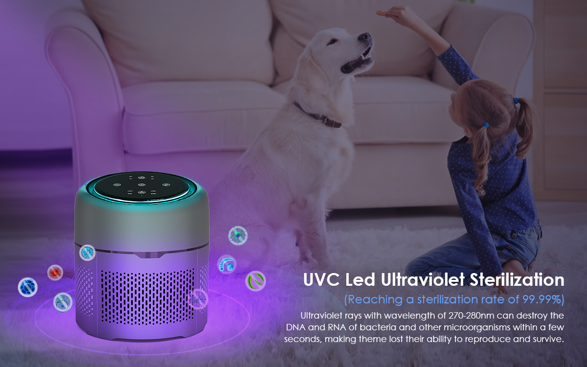 Portable Air Purifier