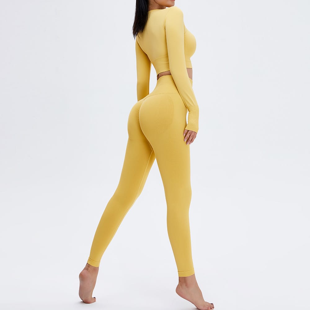 Seamless Yoga Suit