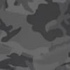 Camouflage Gray