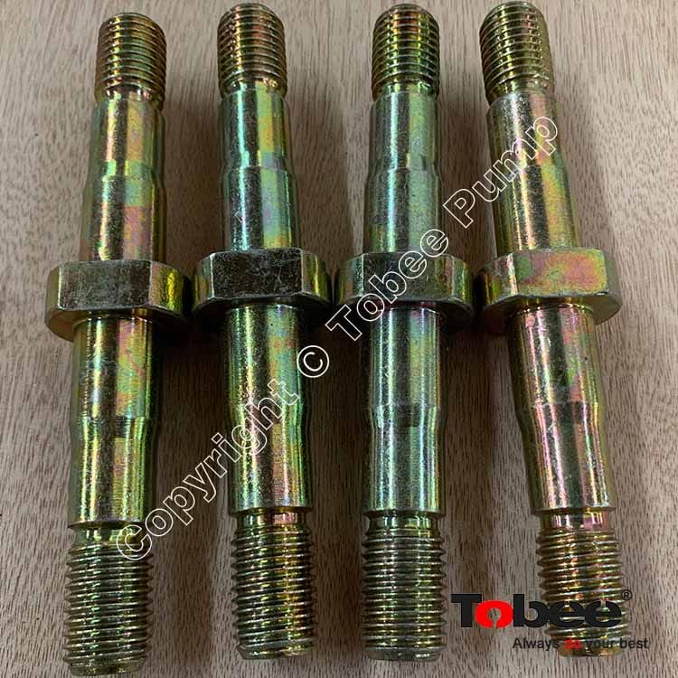 Cover Plate Bolt C015M for Warman 4x3 AH Pump