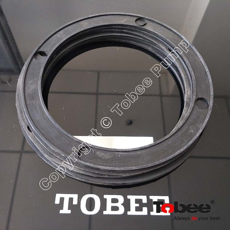 AH Slurry Pump End Cover Seal Shim DD025