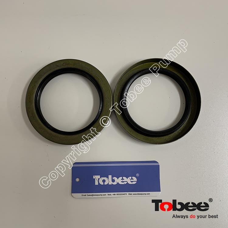 Inboard Bearing Cover Labyrinth Seal H2564-4