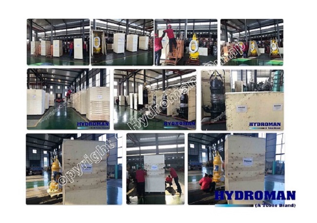 80TJQ Submersible axial and Mixed Flow Sewage Pump