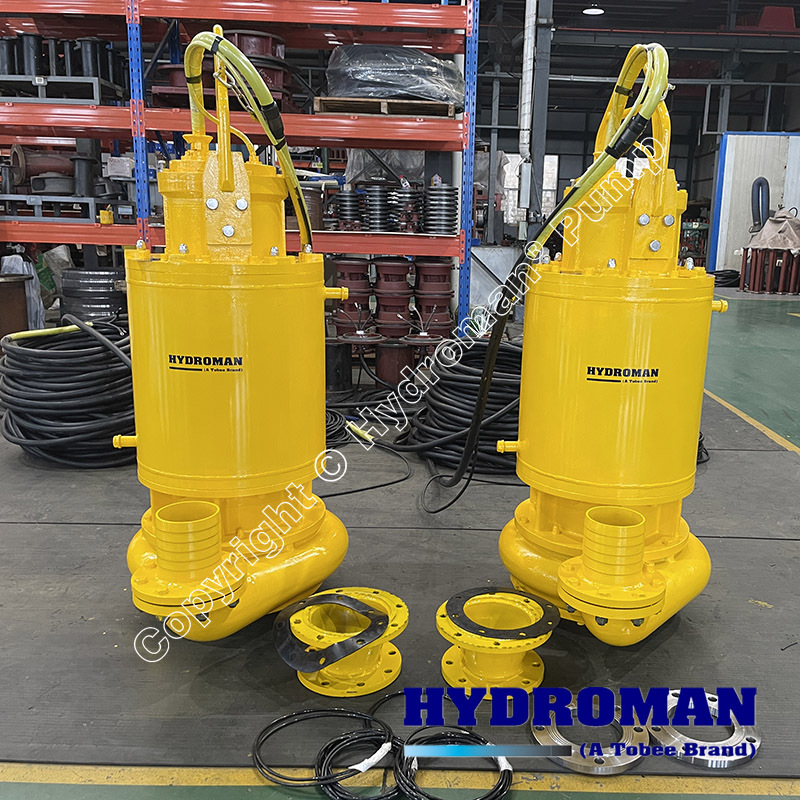 Electric Submersible Pump