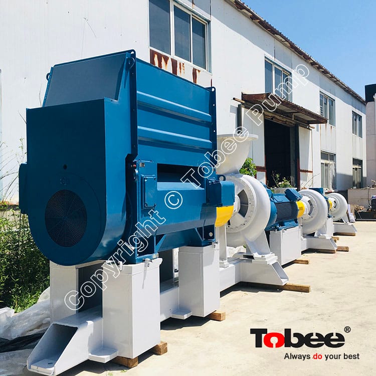 Process Paper Pumps Factory