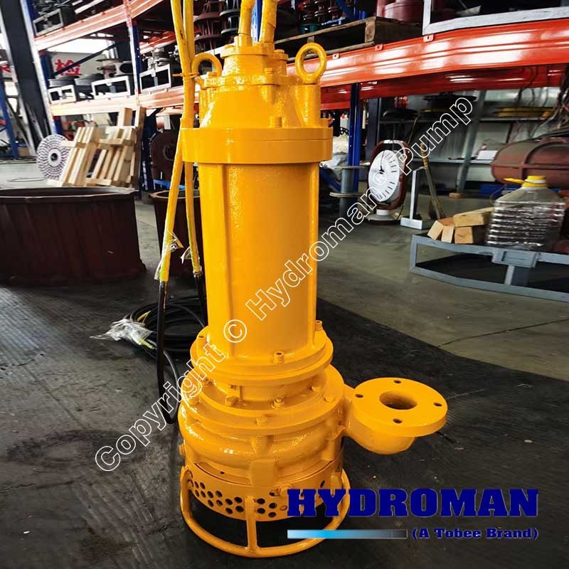 Submersible Sea Water Pump for Praw Farm