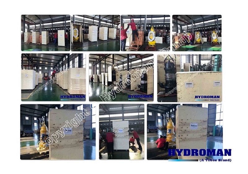 Submersible Slurry Pump with Agitators Used in Port Maintenance Submersible High Head Slurry Pump for Pumping Industrial Effluents