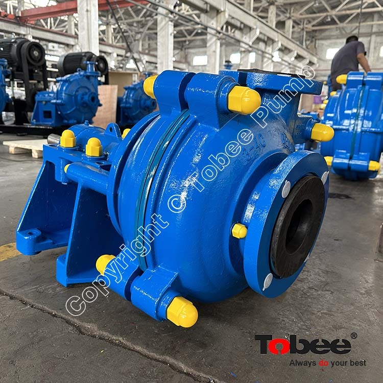 variable speed slurry pump