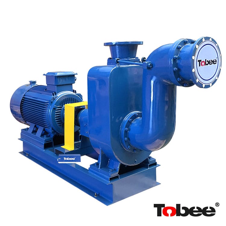 250TX600-50 Self Priming Pump with Variable Frequency Motor transfer Clear Water