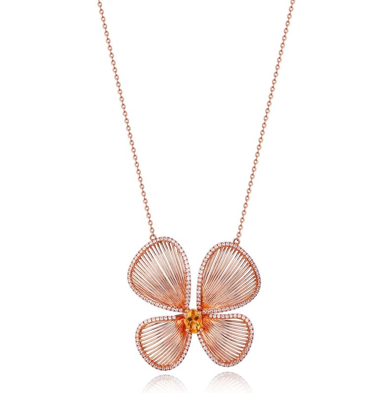 CHR13954-P