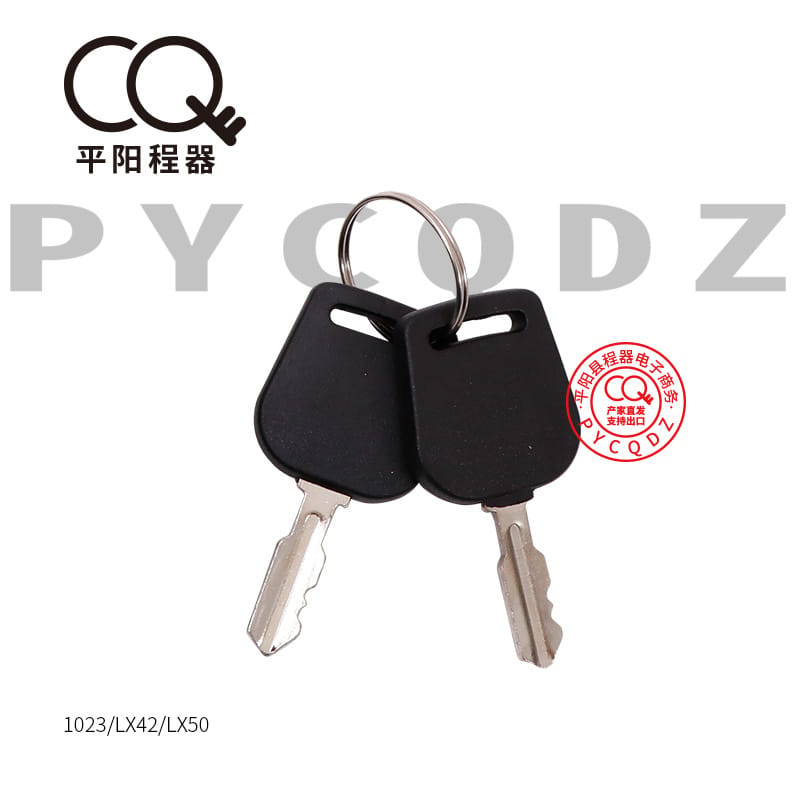 1023/lx42/lx50 only 1 pair of keys (2 pieces) with
