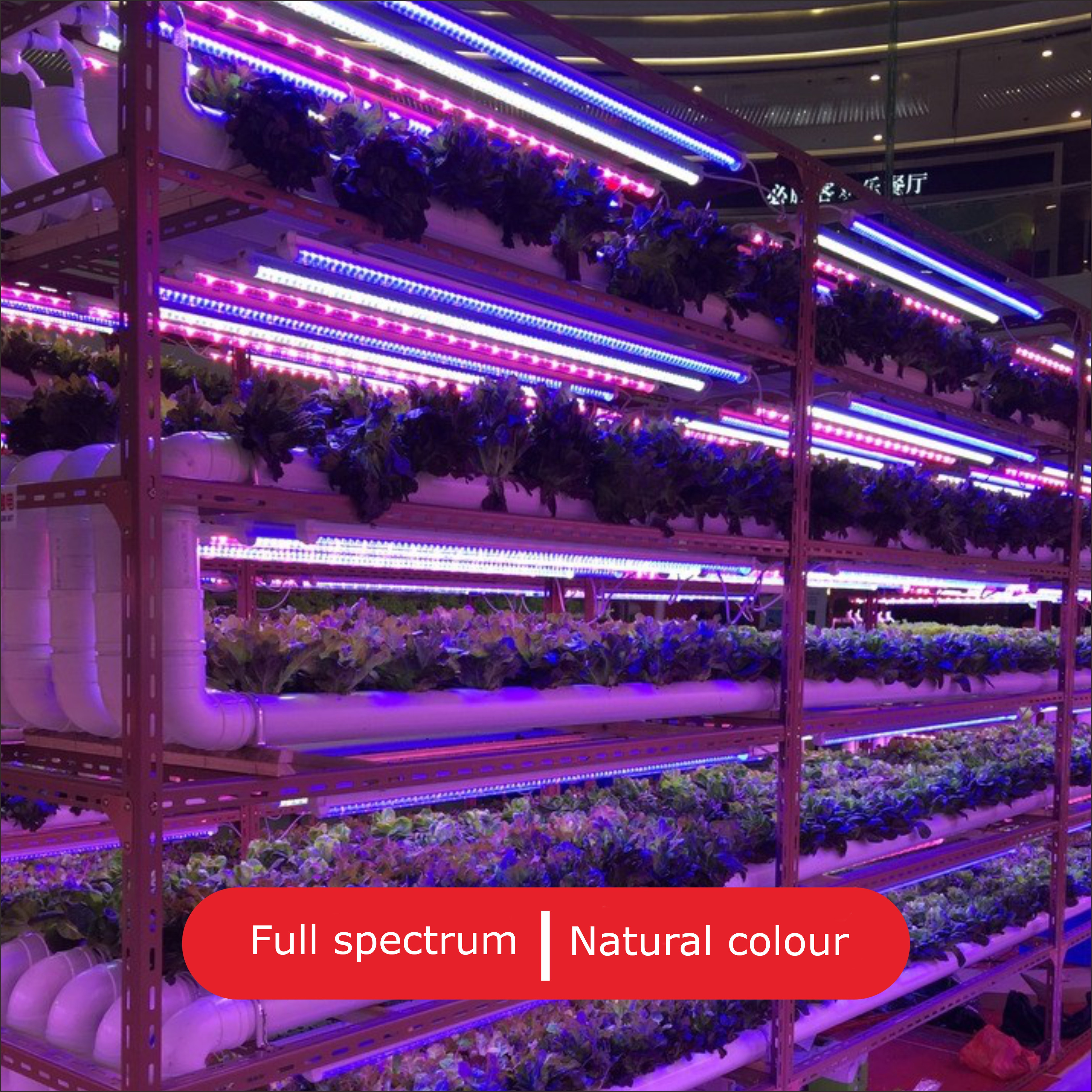 Led  plant grow tube light T6 600mm with New Diodes & IR Lights Full Spectrum Veg Bloom Growing Lamps for Indoor Plants Seeding Flower Led Plant Light Fixture