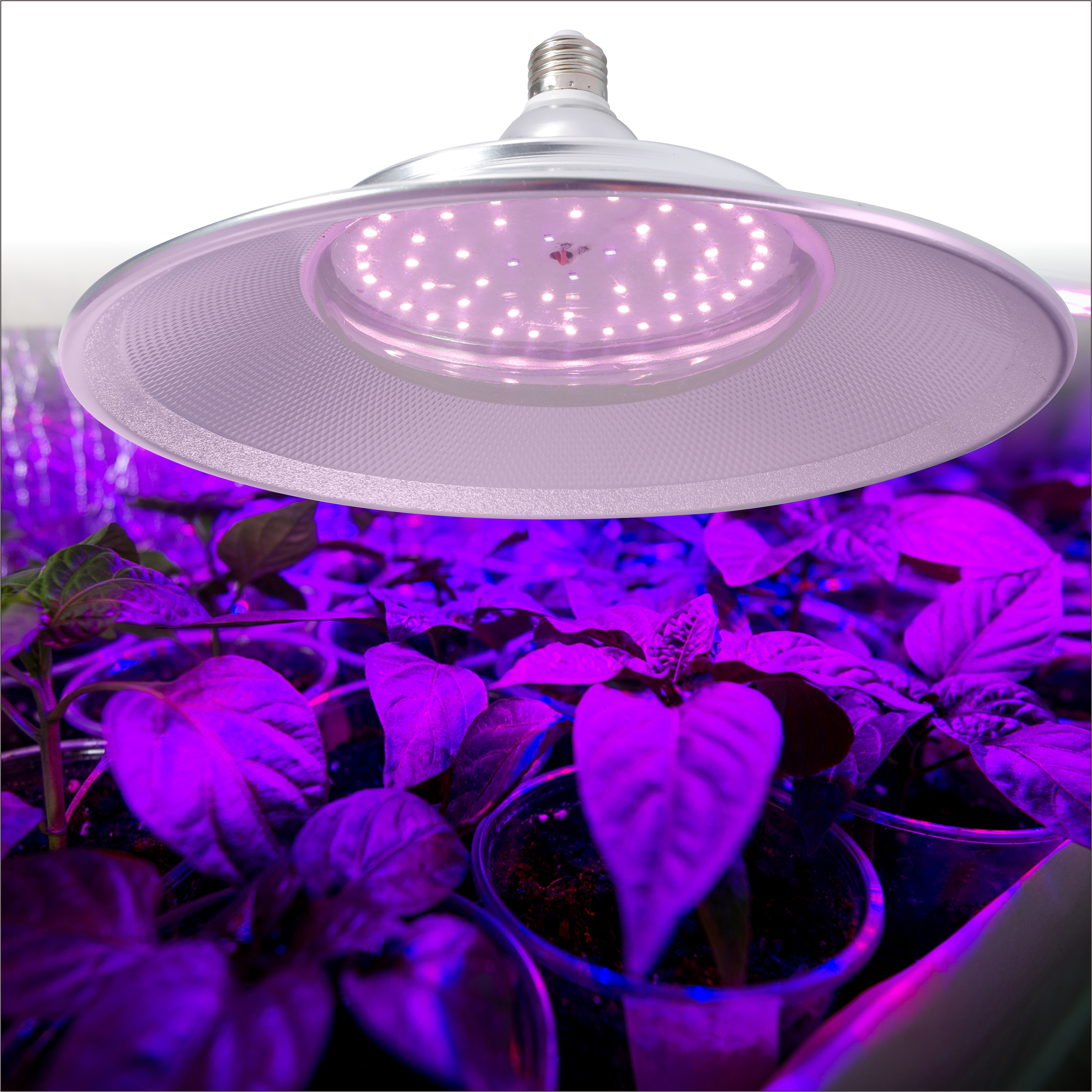 Led plant grow light 80W with New Diodes & IR Lights Full Spectrum Veg Bloom Growing Lamps for Indoor Plants Seeding Flower Led Plant Light Fixture