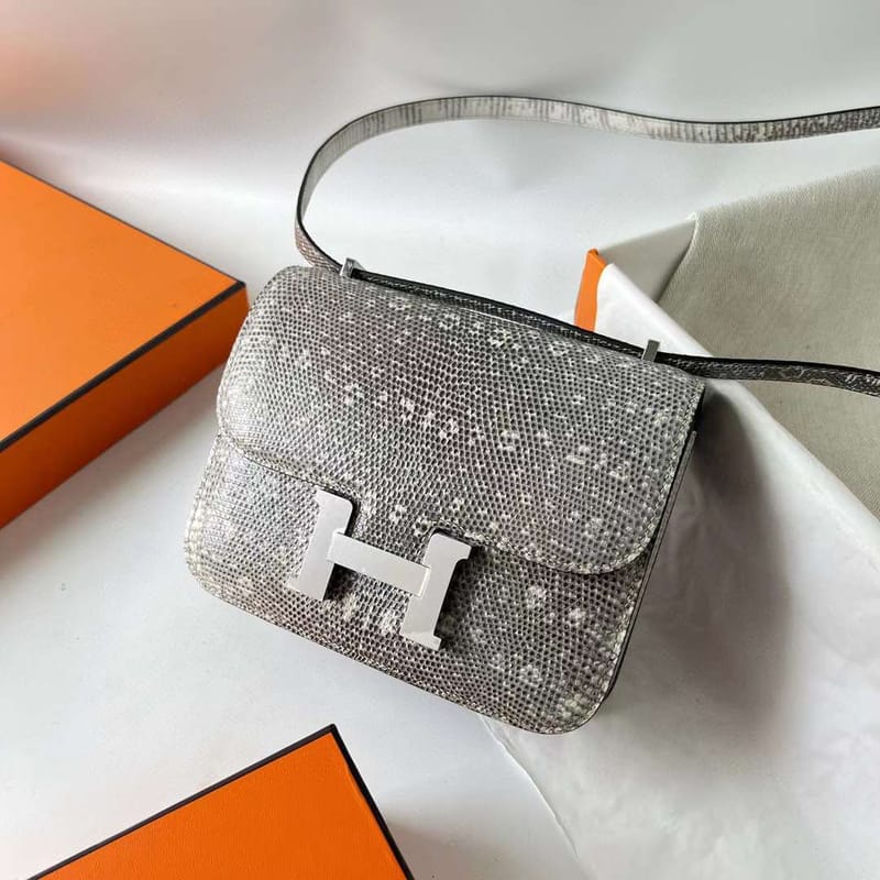CONSTANCE LIZARD 01 ORIGINAL COLOR SILVER HARDWARE PHW 18CM FULL HANDMADE