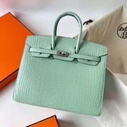 BIRKIN SELLIER MATTE ALLIGATOR CROCODILE 6U MINT GREEN SILVER HARDWARE PHW 25CM FULL HANDMADE