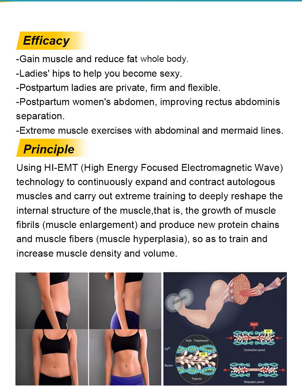 EMSculpt+360 degree cryolipolysis  machine