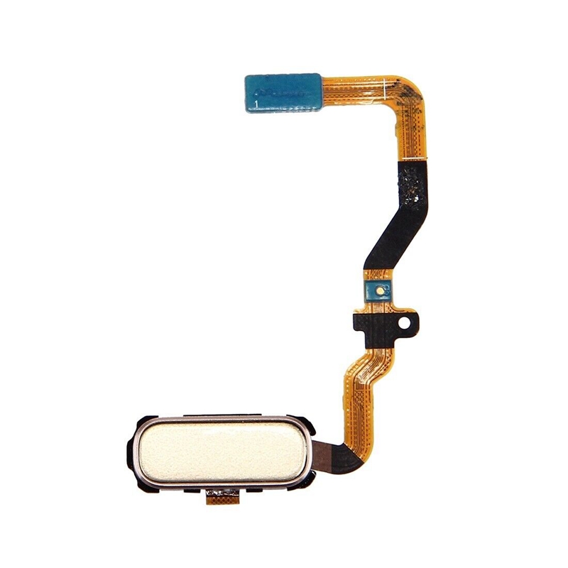 For Galaxy S7 / G930 Home Button Flex Cable(Gold)