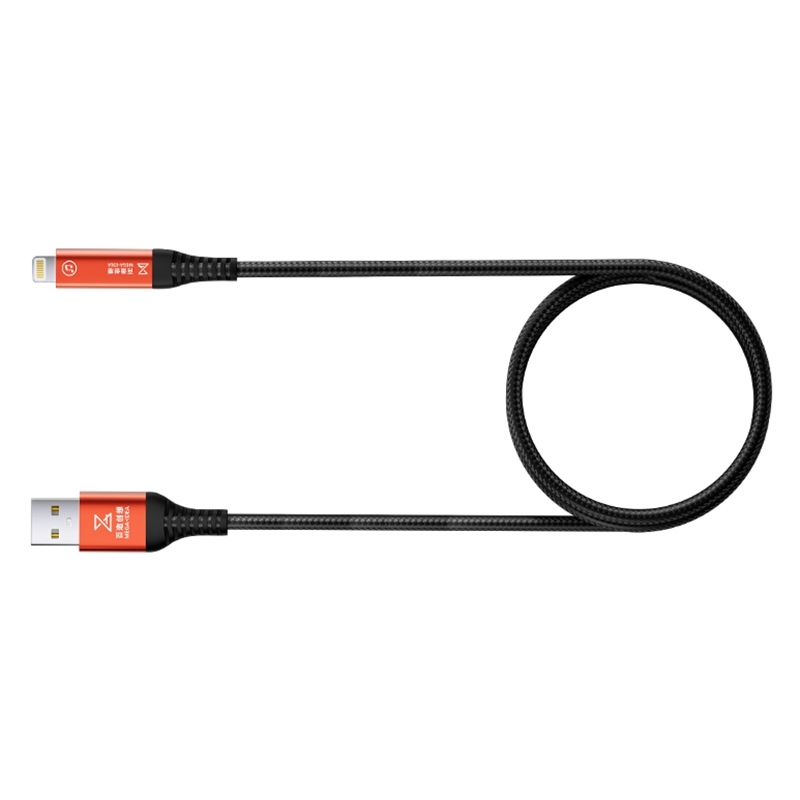 QIANLI MEGA-IDEA 1M Lightning Port Restore Cable