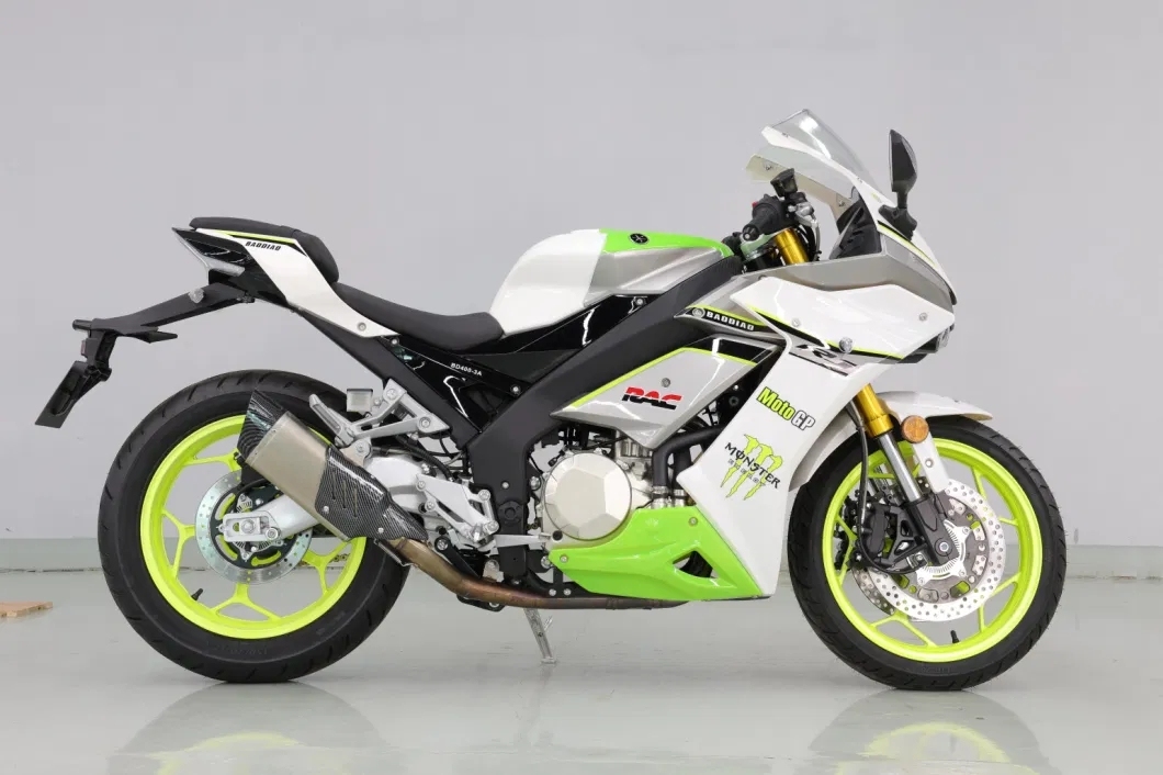 R1 2024 New Design, 450cc Large Displacement, Twin Cylinder, Water-Cooled, Inverted Front Shock Absorber Street Racing Kawasaki ZX-10R Motorcycle