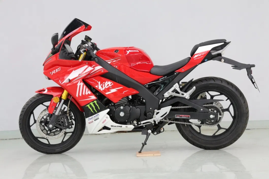 R1 2024 New Design, 450cc Large Displacement, Twin Cylinder, Water-Cooled, Inverted Front Shock Absorber Street Racing Kawasaki ZX-10R Motorcycle