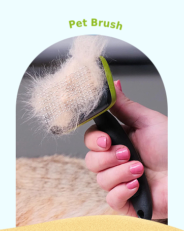 cat dog brush