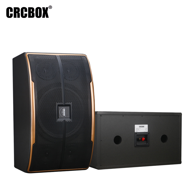 Pasion 10 inch karaoke sound speaker
