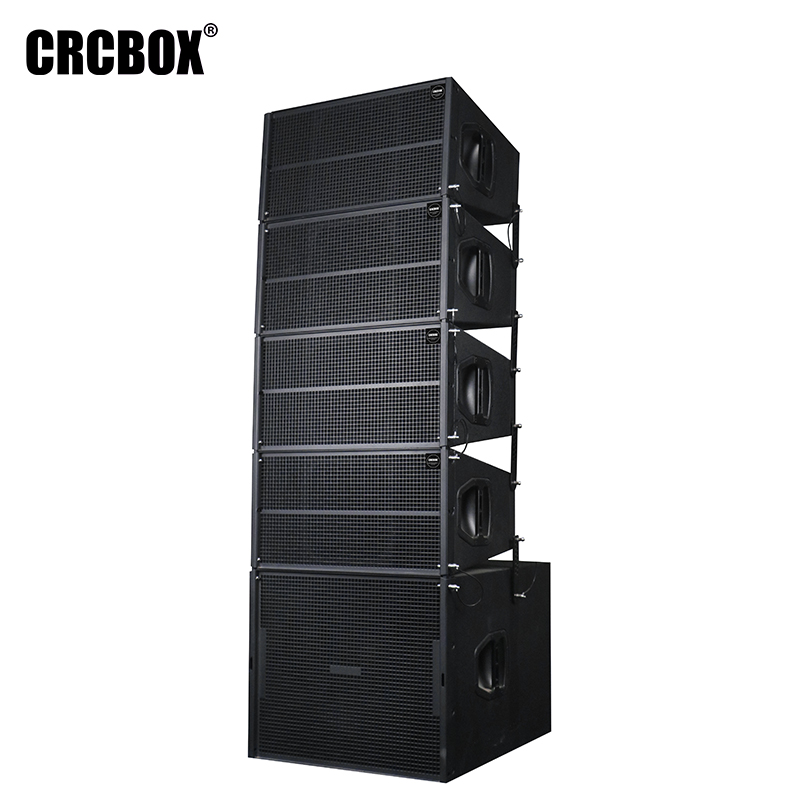 Dual 10 Inch Church Passive Array Speaker System